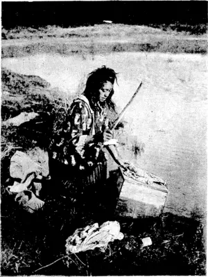 HINEMOA'S WASHING DAY (Observer, 06 December 1920)