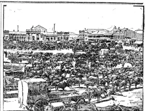 MORNING MARKET AT JOHANNESBURG. (Star, 04 August 1896)