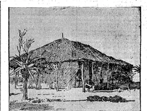 A TYPICAL SOUTH AFRICAN HOUSE, AT A STAGE STATION IN THE  TRANSVAAL. (Star, 02 September 1896)