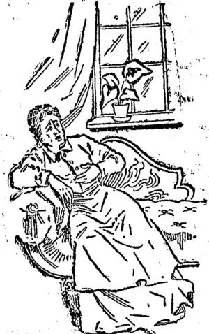 Untitled Illustration (Star, 11 June 1898)