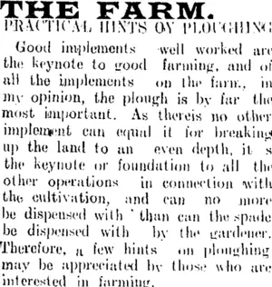 THE FARM. (Tuapeka Times 21-12-1910)