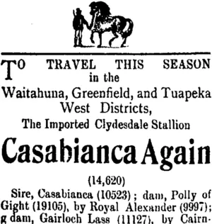 Page 4 Advertisements Column 1 (Tuapeka Times 12-10-1912)