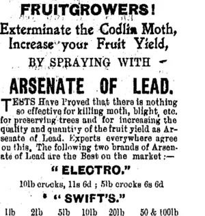 Page 4 Advertisements Column 3 (Tuapeka Times 28-12-1912)