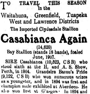 Page 4 Advertisements Column 5 (Tuapeka Times 18-10-1913)