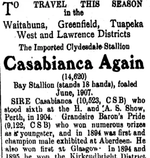 Page 4 Advertisements Column 5 (Tuapeka Times 29-10-1913)