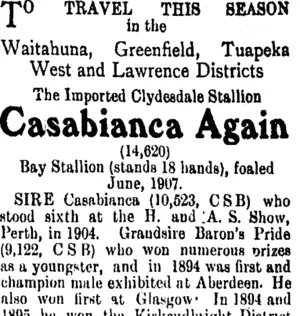 Page 4 Advertisements Column 6 (Tuapeka Times 8-11-1913)