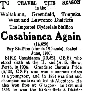 Page 4 Advertisements Column 6 (Tuapeka Times 15-11-1913)