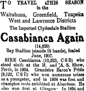 Page 4 Advertisements Column 4 (Tuapeka Times 3-12-1913)