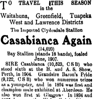 Page 4 Advertisements Column 5 (Tuapeka Times 6-12-1913)