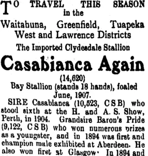 Page 4 Advertisements Column 5 (Tuapeka Times 13-12-1913)