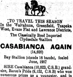Page 4 Advertisements Column 5 (Tuapeka Times 27-11-1915)