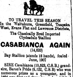 Page 4 Advertisements Column 6 (Tuapeka Times 11-12-1915)