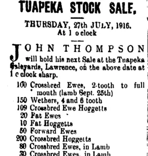 Page 2 Advertisements Column 1 (Tuapeka Times 22-7-1916)