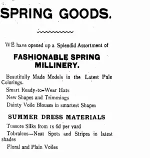 Page 2 Advertisements Column 4 (Tuapeka Times 27-9-1916)