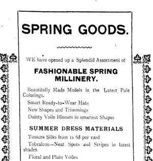 Page 2 Advertisements Column 4 (Tuapeka Times 4-10-1916)