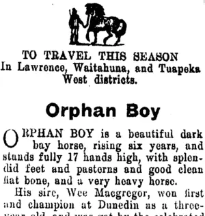 Page 4 Advertisements Column 6 (Tuapeka Times 25-10-1916)