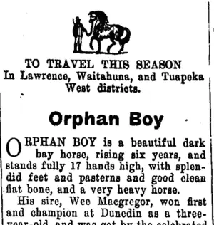 Page 4 Advertisements Column 5 (Tuapeka Times 28-10-1916)