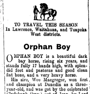 Page 4 Advertisements Column 5 (Tuapeka Times 8-11-1916)