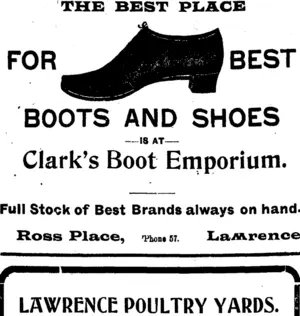 Page 3 Advertisements Column 1 (Tuapeka Times 23-10-1920)