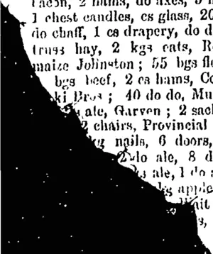 Untitled Illustration (West Coast Times, 12 August 1865)