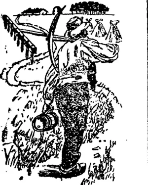 Tukning Homewards. (West Coast Times, 23 June 1900)