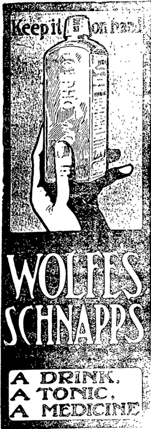 Untitled Illustration (West Coast Times, 29 May 1906)