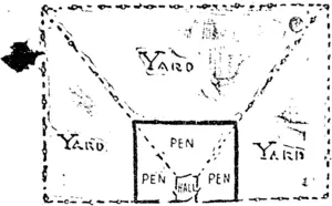 HOUSE AND DIVIDED YARD. (Wairarapa Daily Times, 09 August 1904)