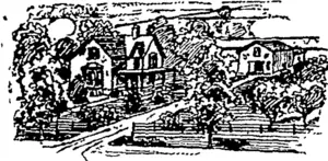 THE SAME PLACE EMBELLISHED WITH TBEES, VINES, ETC. (Wanganui Herald, 19 May 1893)