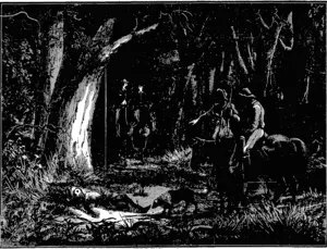 PERHAPS JLE"aND SHE—WHO HE KNOWS ARE NOW5EARCHING FOR HIM—WILL RIDE UP THE GLADE AND FIND THE LAST OF EDWAKD HAHDINGE." (Waikato Times, 23 December 1882)