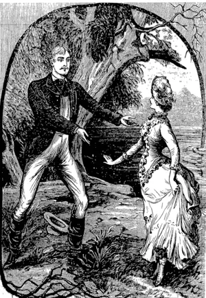 KEEP BACK !" SAID ADDIE, " I DID LOVE YOU, BUT THAT IS PAST." (Waikato Times, 20 December 1884)