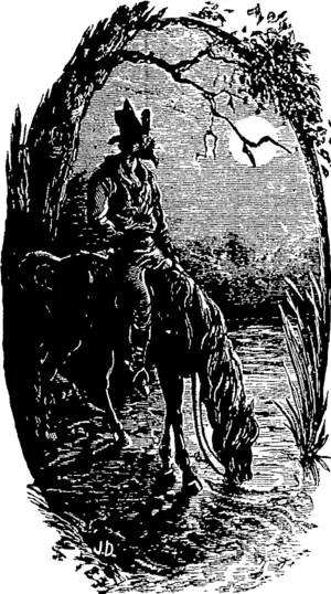 Untitled Illustration (Waikato Times, 20 December 1884)