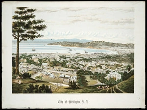 Potts, William 1859-1947 :City of Wellington, N.Z. 1885. W. Potts, del. Wanganui; A.D. Willis [1885].