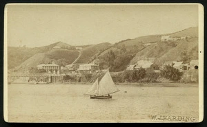 Harding, W J (Wanganui) fl 1826-1899 :Photograph of part of Wanganui landscape
