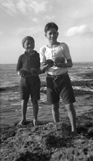 Maori boys holding kina, Awanui district, Northland