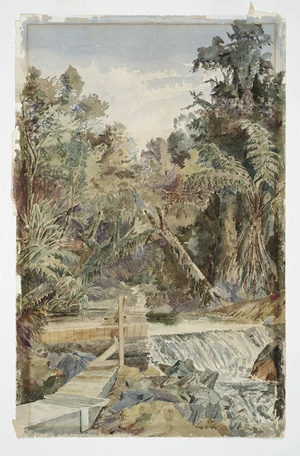 Stretton, A, fl 1897 :[Kauri log jam in New Zealand bush]. 1897