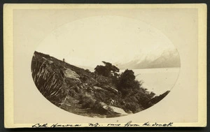 Hart, Campbell fl 1879-1885 :Photograph of Lake Hawea, New Zealand