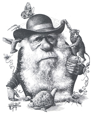 Webb, Murray, 1947-: Charles Darwin. 9 February 2009.