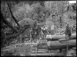 Working gang on the main trunk line, somewhere in the North Island