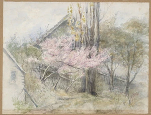 [Stowe, Jane], 1838?-1931 :[Workshop at Tiakiwai with peach tree. 1920s?]