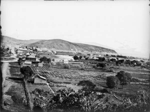 Part 2 of a 2 part panorama of Nelson, looking west from Sharp's house.