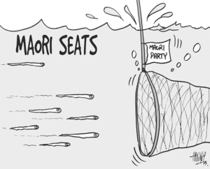 Hawkey, Allan Charles, 1941-:Maori seats. Waikato Times, 18 April, 2005.