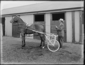 Unidentified man with horse and sulky, at stables, probably Christchurch district