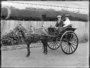 Unidentified man and woman in a horse drawn buggy, with blanket over their legs, wooden fence and hedge behind, probably Christchurch region