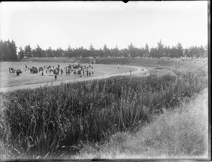 Large group of unidentified people, some holding hands or in groups, on a playing field with running track surrounding, enclosed by a bank with trees on top, probably Christchurch region