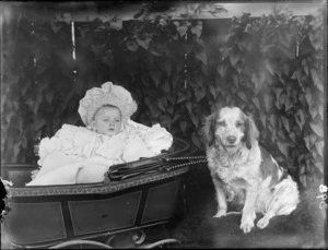 Baby in a pram, with a dog sitting alongside, possibly Christchurch district