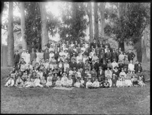 Large group of unidentified men, women and children, underneath eucalyptus trees, possibly Christchurch district