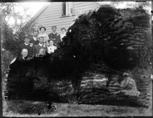 Wedding group portrait in the backyard on long grass in front of fence and house beyond, unidentified bride and groom with extended family, probably Christchurch region