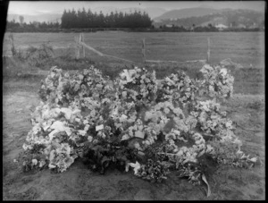 Large number of wreaths with cards and ribbons, covering a mound of dirt, farmland and housing beyond, probably Christchurch region