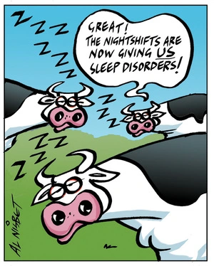 Nisbet, Alistair, 1958- :'Great! the nightshifts are now giving US sleep disorders!' 14 February 2012
