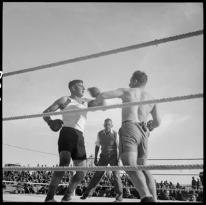 Boxers in the ring, Egypt